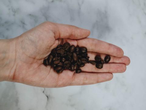 Grão de café